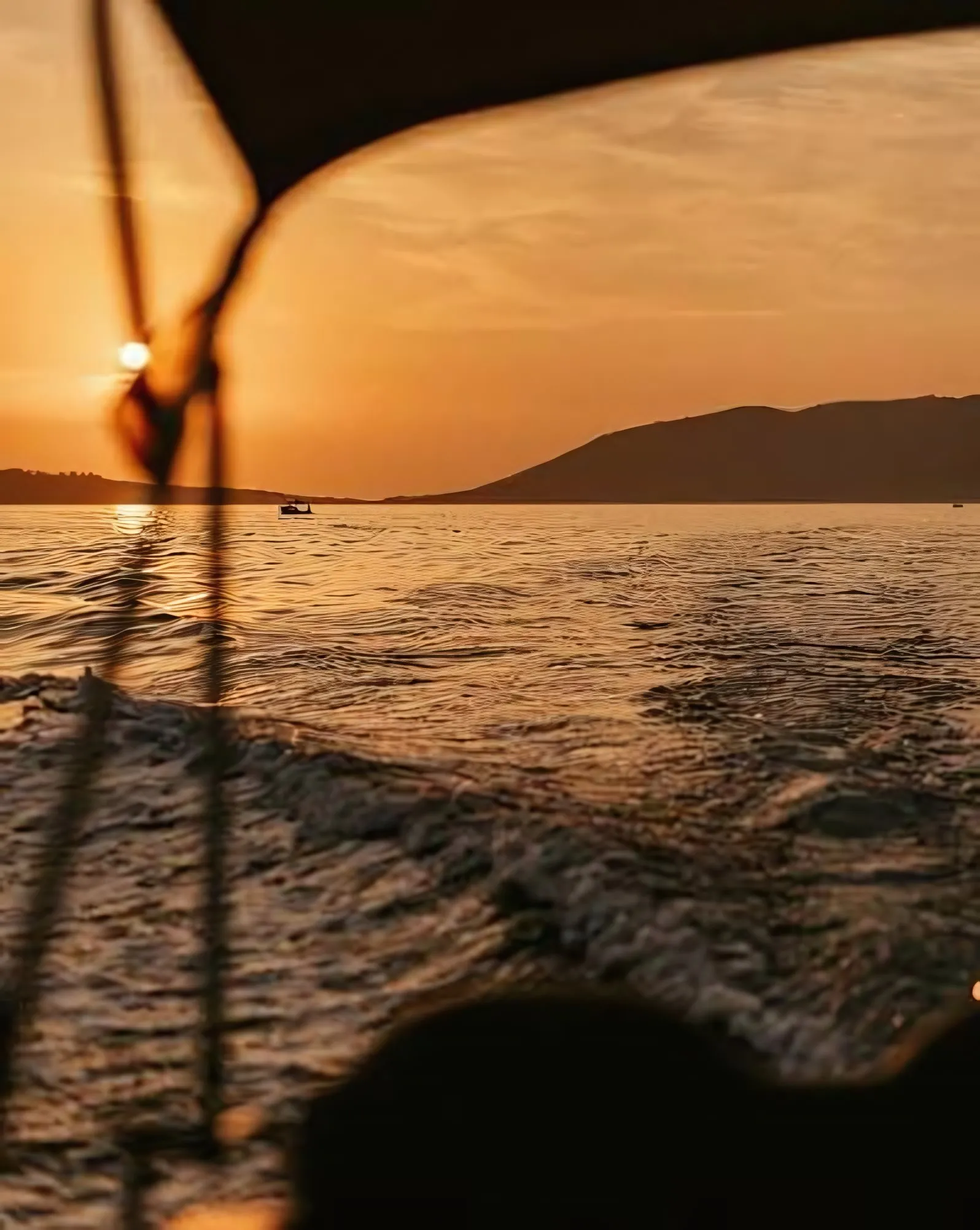 A speedboat on the bay during golden hour